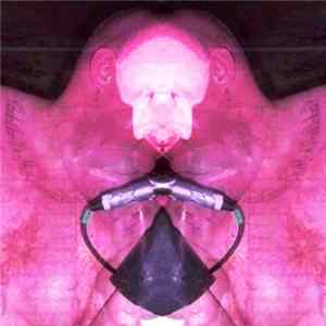 Pee Six & Various - Thee Beast Ov Pee Six Vol 2 - Live Collaborations Album