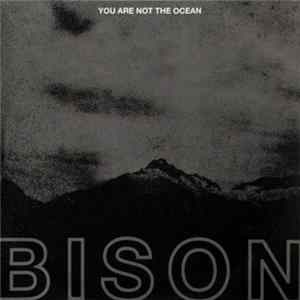 Bison - You Are Not The Ocean You Are The Patient Album