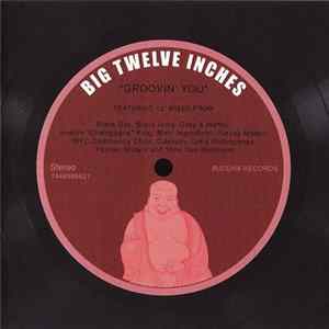 Various - Big 12 Inches - Groovin' You Album