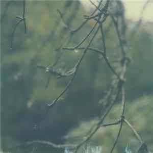 Benoit Pioulard - Lignin Poise Album
