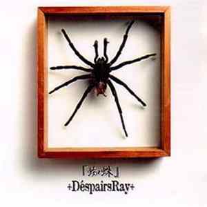 ＋DéspairsRay＋ - 蜘蛛 Album