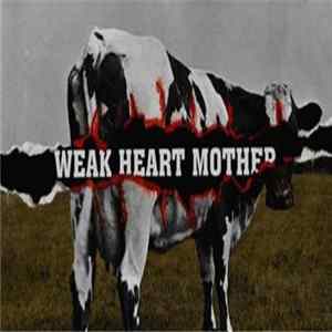 XamorX - Weak Heart Mother Album
