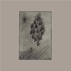 Áine O'Dwyer - Locusts Album