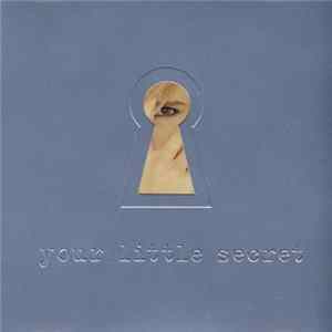 Melissa Etheridge - Your Little Secret Album