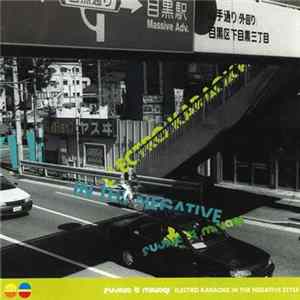Fujiya & Miyagi - Electro Karaoke In The Negative Style Album