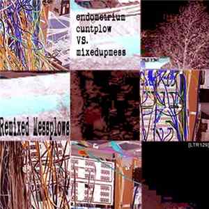 Endometrium Cuntplow VS. Mixedupmess - Remixed Messplows Album
