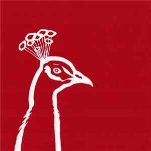 Lina Allemano Four - Pinkeye Album