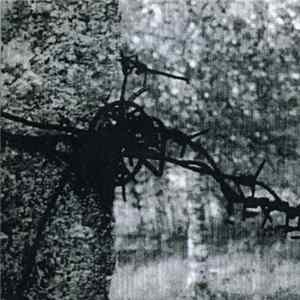 Grey Park - Gradient Descent Of My Collective Mind Album