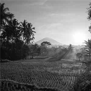 Various - The Mt. Agung Syndicate - Mt. Agung - Relief Fundraiser Album