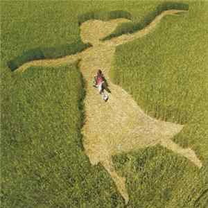 Franck Monnet - Au Grand Jour Album