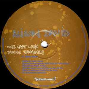 Alison David - One Last Look - Domu Remixes Album