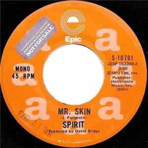 Spirit - Mr. Skin Album