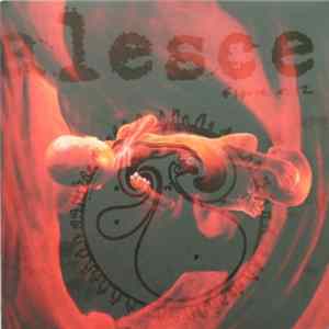 Coalesce - 0:12 Revolution In Just Listening Album