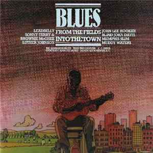 Various - Blues From The Fields Into The Town Album