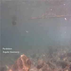 Parallelism - Angular Geometry Album